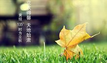 立秋节气的谚语