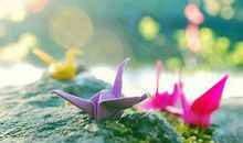 唯美的句子说说心情图片：岁岁年年，我都属于你，永远永远