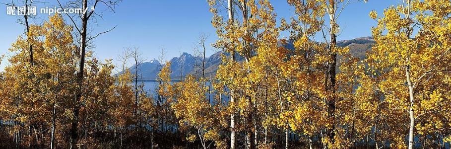 秋天森林的寓言