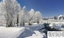 描写雪的优美句子大全