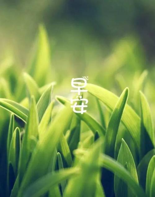 周末多雨的愿望