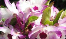 悼念父母天堂祝福语