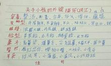 不仅……也……造句大全