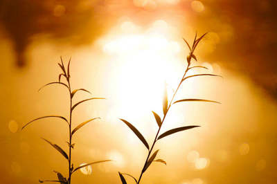 审美句子图片心情短语：我错过了很多，我总是很伤心一个人1