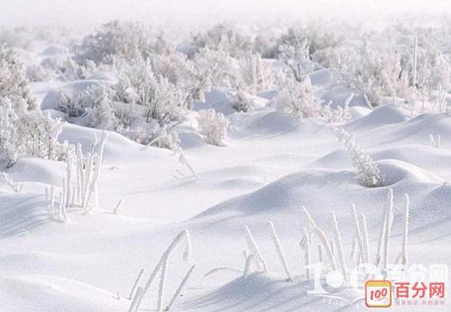 描述雪景的精彩段落