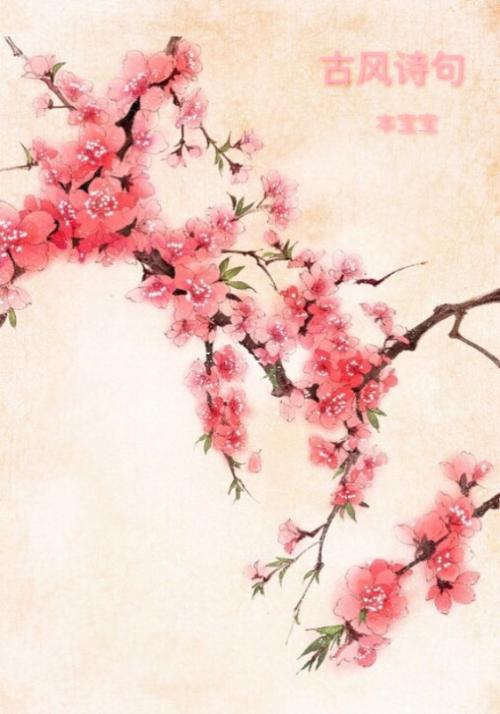 文学和审美句子