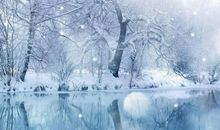 描写下雪的优美片段