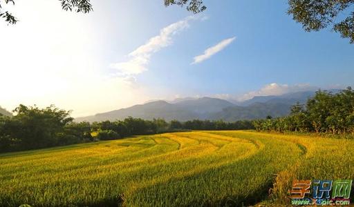 关于乡村风光的谚语