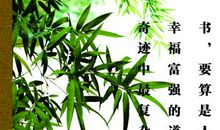 书的名言警句大全