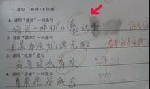 不仅还造句大全