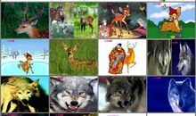 狼和鹿的歇后语