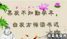 珍惜自然的名言警句