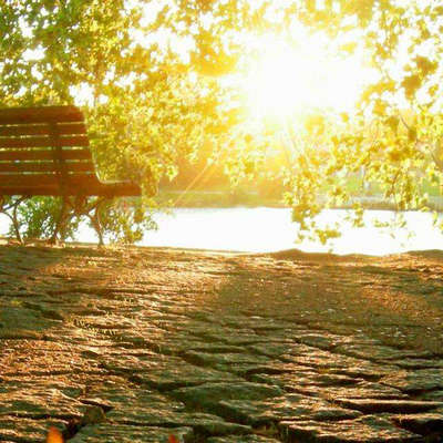 阳光岁月美丽的句子，阳光岁月悄悄地谈论