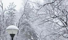 关于描写雪景的句子