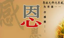 有关感恩的比喻句