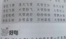 关于大雪的谚语