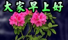 优美祝福的句子