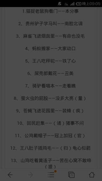 关于兔子的谚语