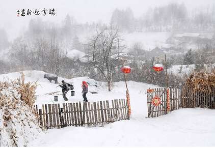 在寒冷的冬天雪谚语