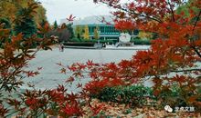 有关冬风的比喻句