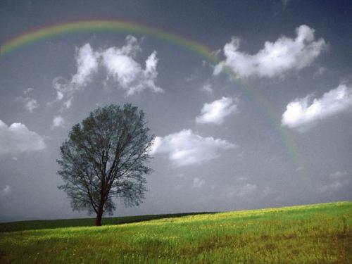 描述雨后的心情