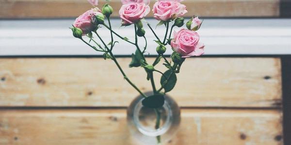 希望孩子长大的审美句子