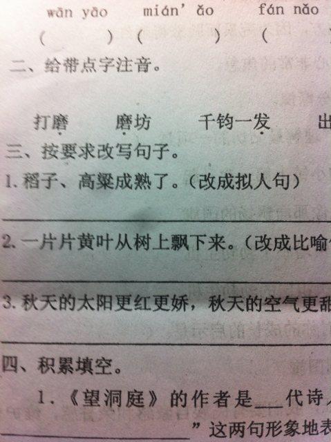 杨树拟人化句子