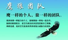 霸气的团队励志口号