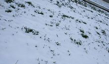 形容初雪的句子