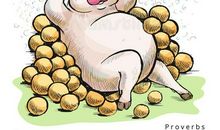 贪心谚语