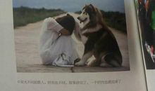 大冰好吗好的经典语录