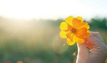 人生不必追求大富大贵，而应学会感受岁月赠予的柔软幸福