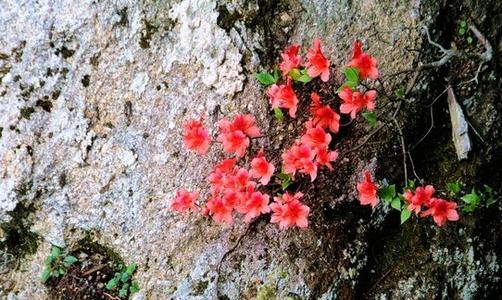 四月最后一个周末的短信祝福