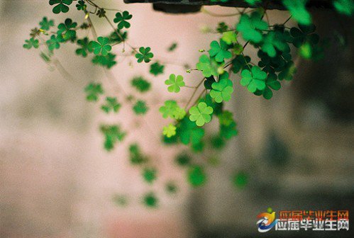 描述校园春天风景的句子