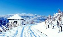 冬天景色优美句子