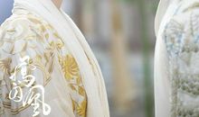 凤囚凰经典语录