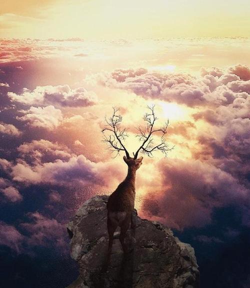 宝贝的辉煌祝福