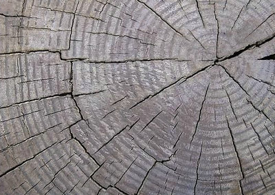 岁月的痕迹，岁月的痕迹，优美的句子