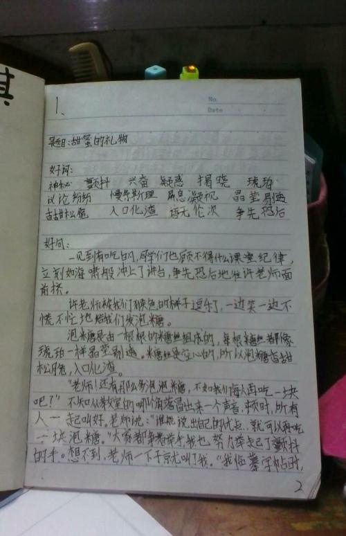 阅读带有好词和句子的笔记