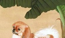 带猴狗的歇后语