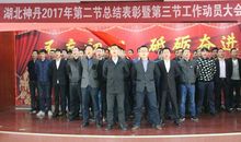 霸气的士气展示口号