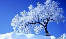 冬天思念情人的短信