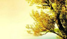 青春已逝的句子唯美【精选19句】