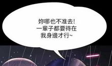 描述贝壳的句子