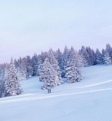 描述冬天下雪的大部分