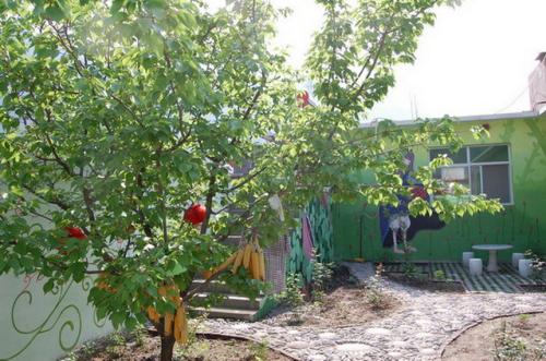 关于大树的寓言