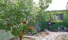 有关大树的比喻句