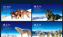 狼文化口号