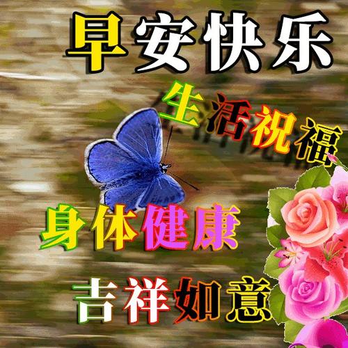 冬天的早晨希望文本