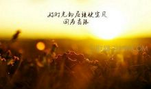 工作上励志的话